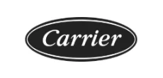 Carrier